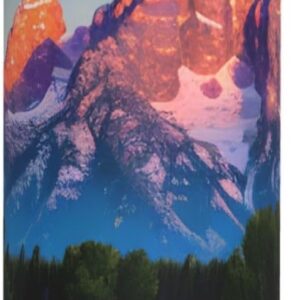 Mug isotherme SamLng acier inoxydable parc Grand Teton-0